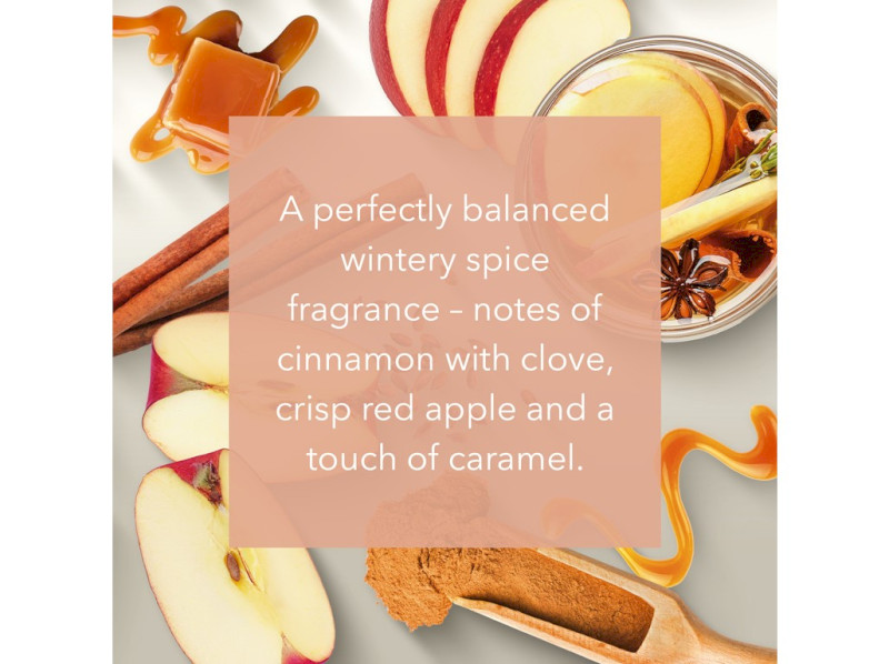 41385-cinnamon-cider-v