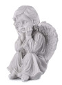 427980606146705-andel