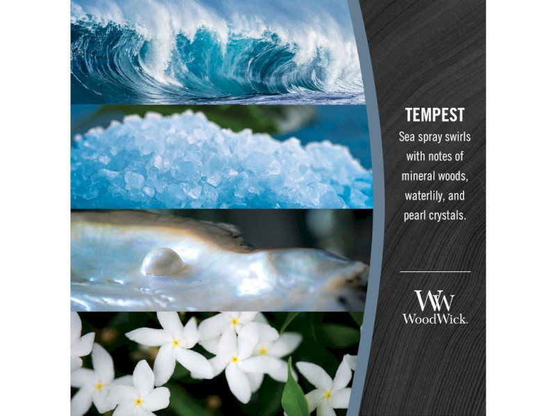 41823-tempest-kopie