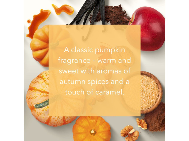 41384-perfect-pumpkin-v