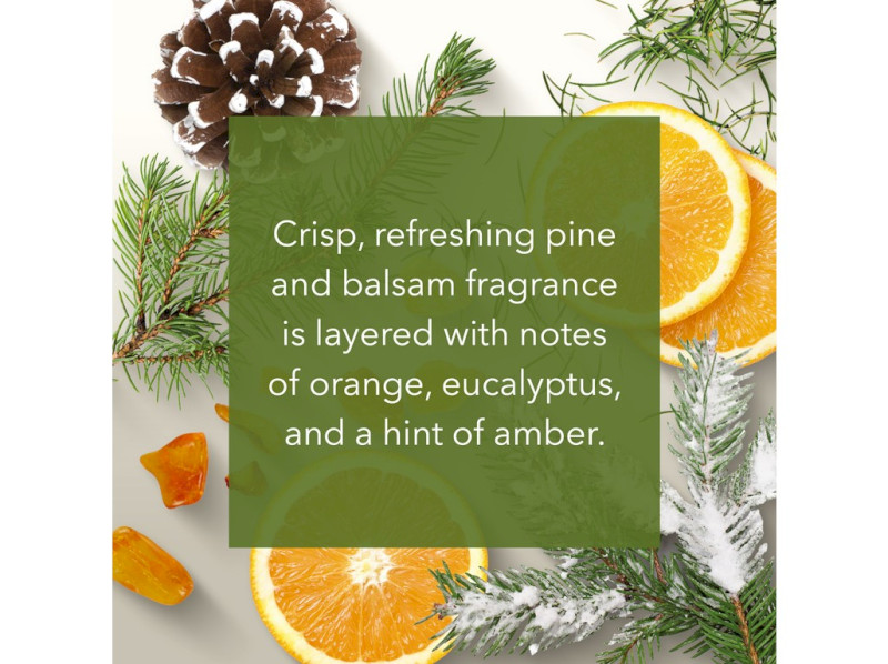 41388-frosted-pine-v