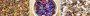 257186936651804_1190X220_TOPPER_POTPOURRI