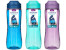 Sistema Láhev s výklopným víčkem Hydrate  Active Flip Top 800 ml, mix barev